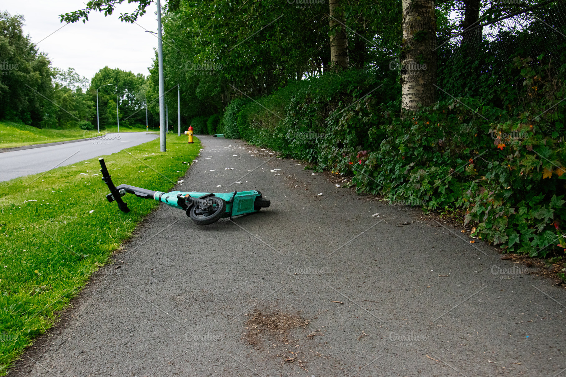 Electric scooter lying on a green pathway in Reykjavik, Iceland near trees, a Photo by AS photostudio