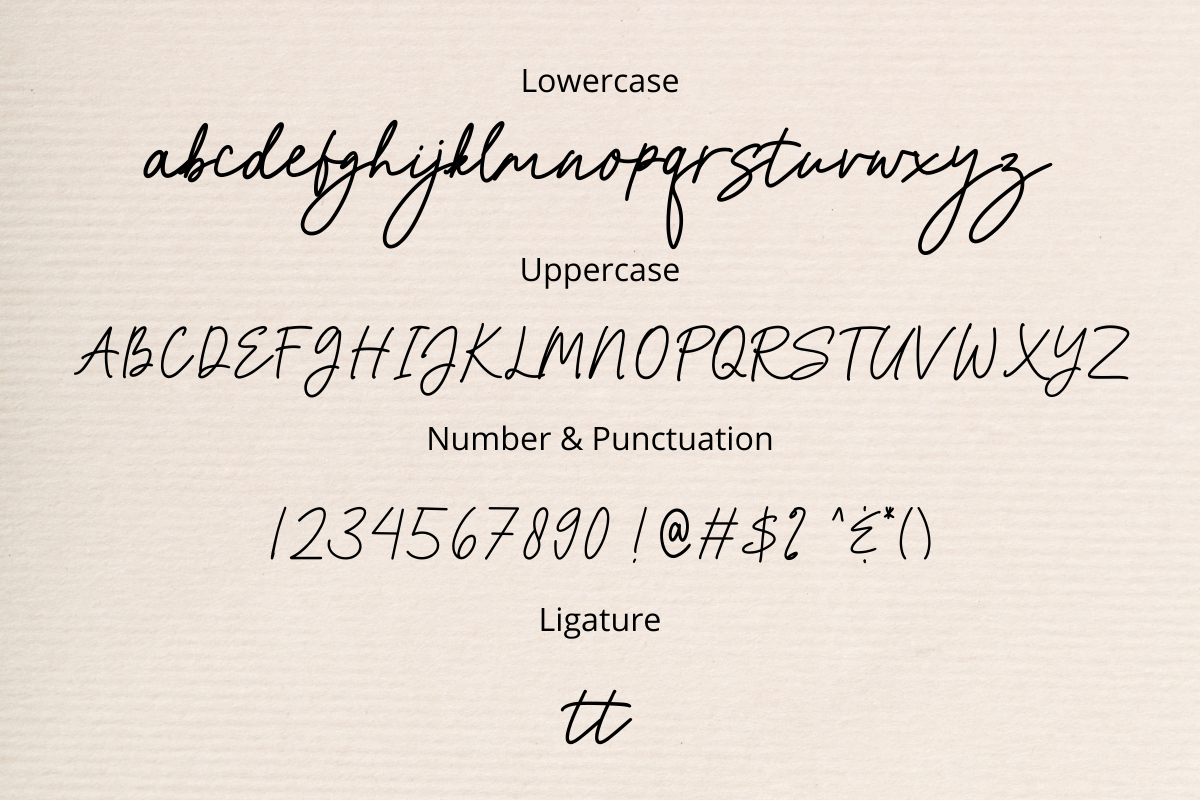 Shabira, a Script Font by Fashion Creative (Photo 10 of 10)