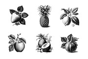 Fruit illustrations - engravings/01, a Food Illustration by Graxaim Mock-up (Thumbnail 3 of 4)