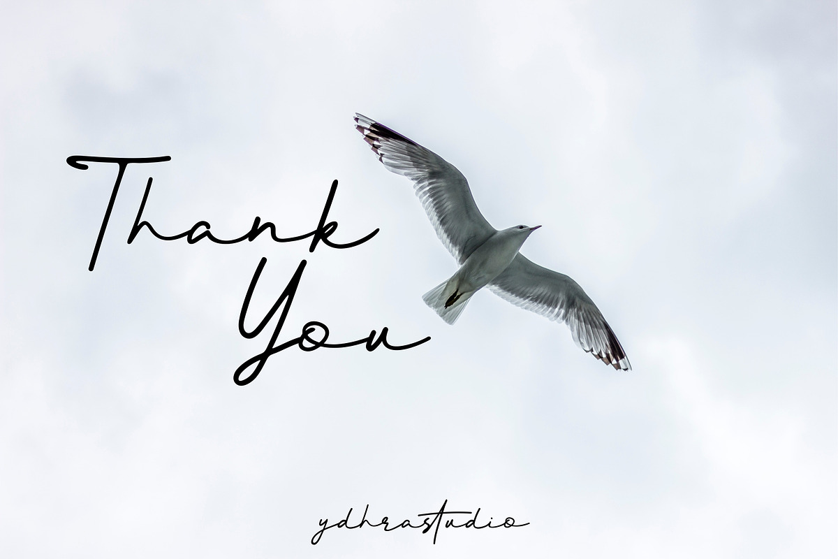 Better Signature Font, a Script Font by YdhraStudio (Photo 9 of 9)