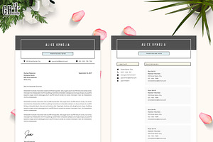 5 Pages Resume - CV Template