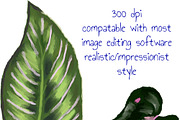 78 houseplant leaf illustrations, an Object Illustration by KimmiDrawsThings (Thumbnail 2 of 2)
