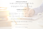 Book Signature | Script Font, a Handwritten Font by Scratchones (Thumbnail 7 of 8)