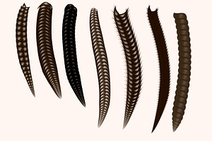 Procreate Braids & Twists Brushes