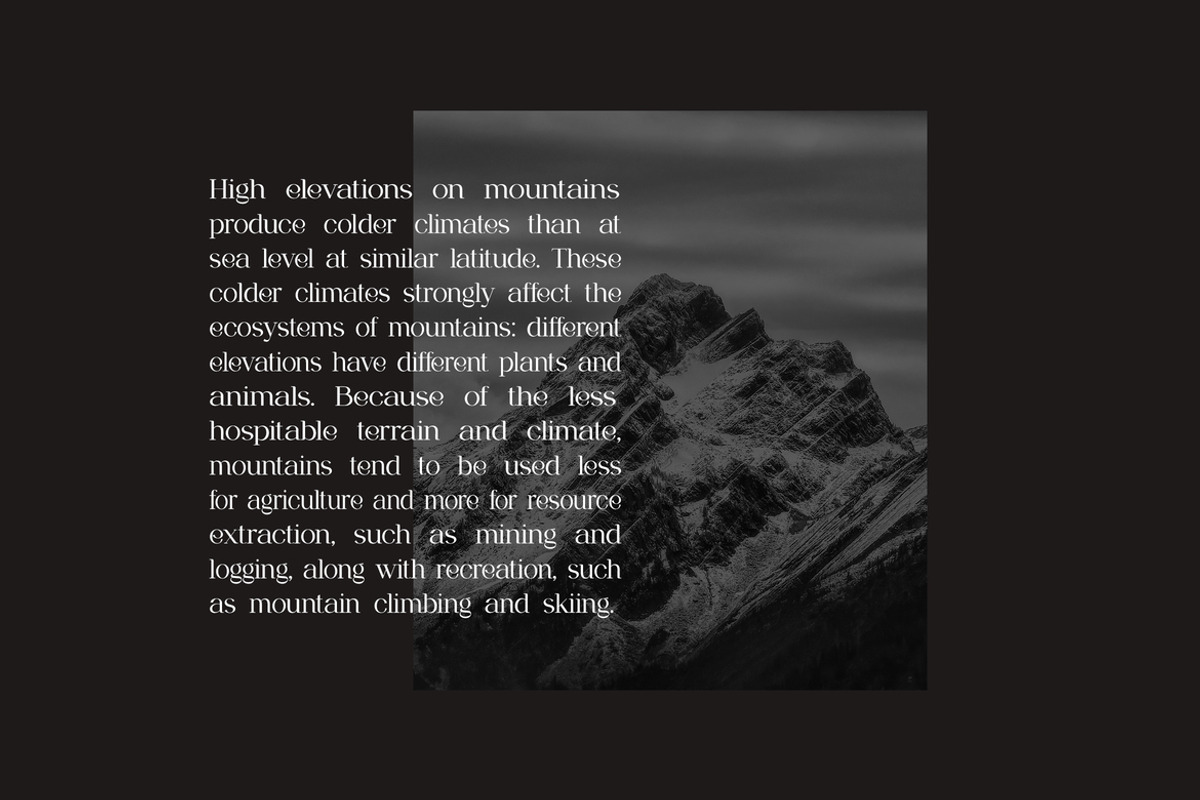 Breakwater Modern Classy Font, a Serif Font by UICreative (Photo 12 of 13)