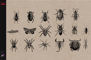 Procreate Tattoo Stamps Insects Bugs