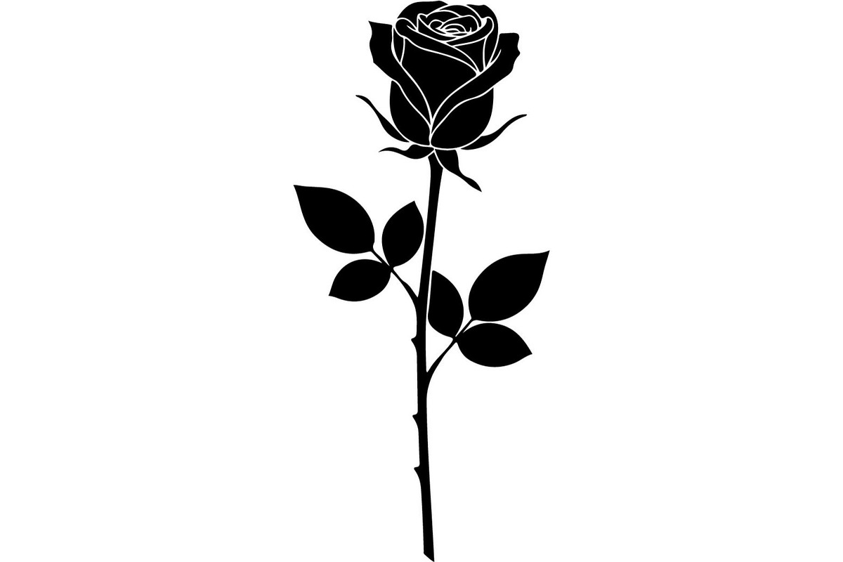 Rose Flower Silhouette Vector Bundle, an Illustration by Designer_Momina (Photo 11 of 21)