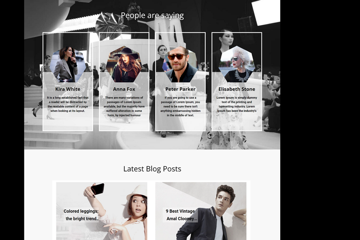 Fashion Store Website template, a HTML Template by Ordasoft (Photo 3 of 3)