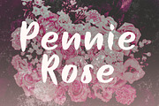 Bellarsky Evidence Font, a Script Font by Allmostudio (Thumbnail 7 of 10)