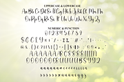Sunlight | Script Font, a Handwritten Font by Scratchones (Thumbnail 7 of 8)