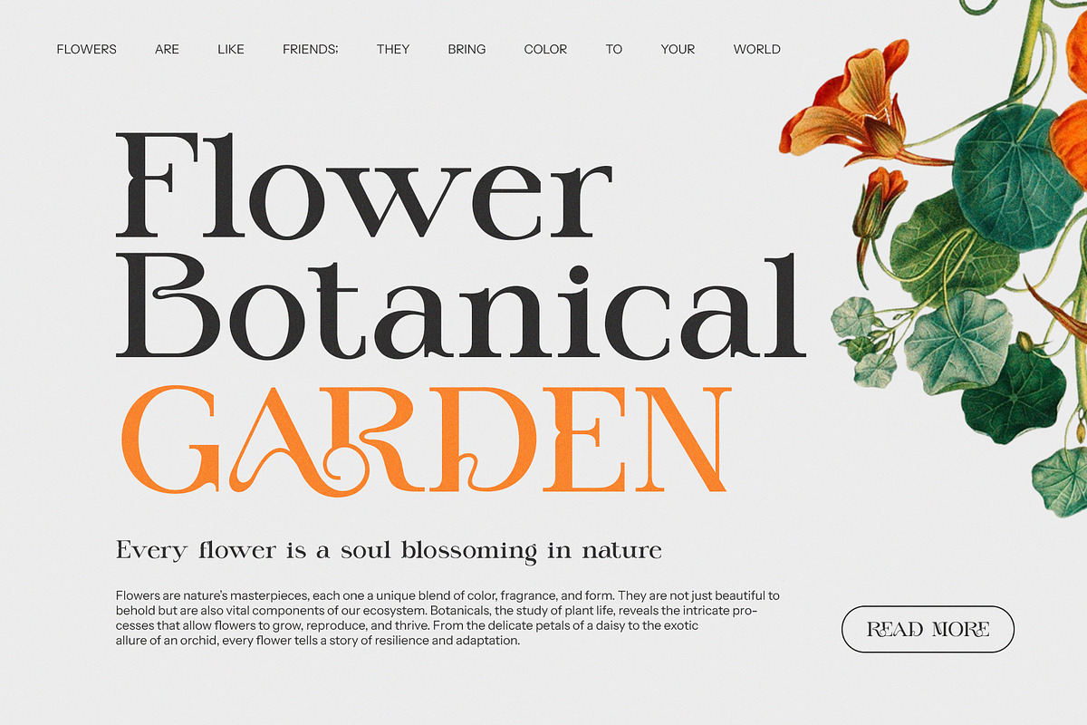 Kemri Stylish Serif Font, a Serif Font by Graphicxell (Photo 3 of 8)
