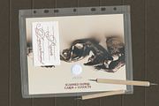 Paper Department: Paper Scans, an Object Graphic by Purple (Thumbnail 3 of 9)
