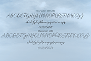 Selvia Font Duo, a Script Font by danti (Thumbnail 4 of 8)