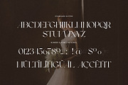 Mover Elegant Serif Font Typeface, a Serif Font by Perfectype (Thumbnail 7 of 7)