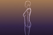 Male And Female Anatomy X-ray Bodies, a Characters & Person 3D Model by VisualCG (Thumbnail 10 of 15)