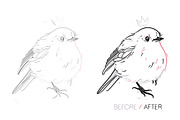 Pigment Pen Brushes, a Brush Add-On by Side Project (Thumbnail 4 of 7)