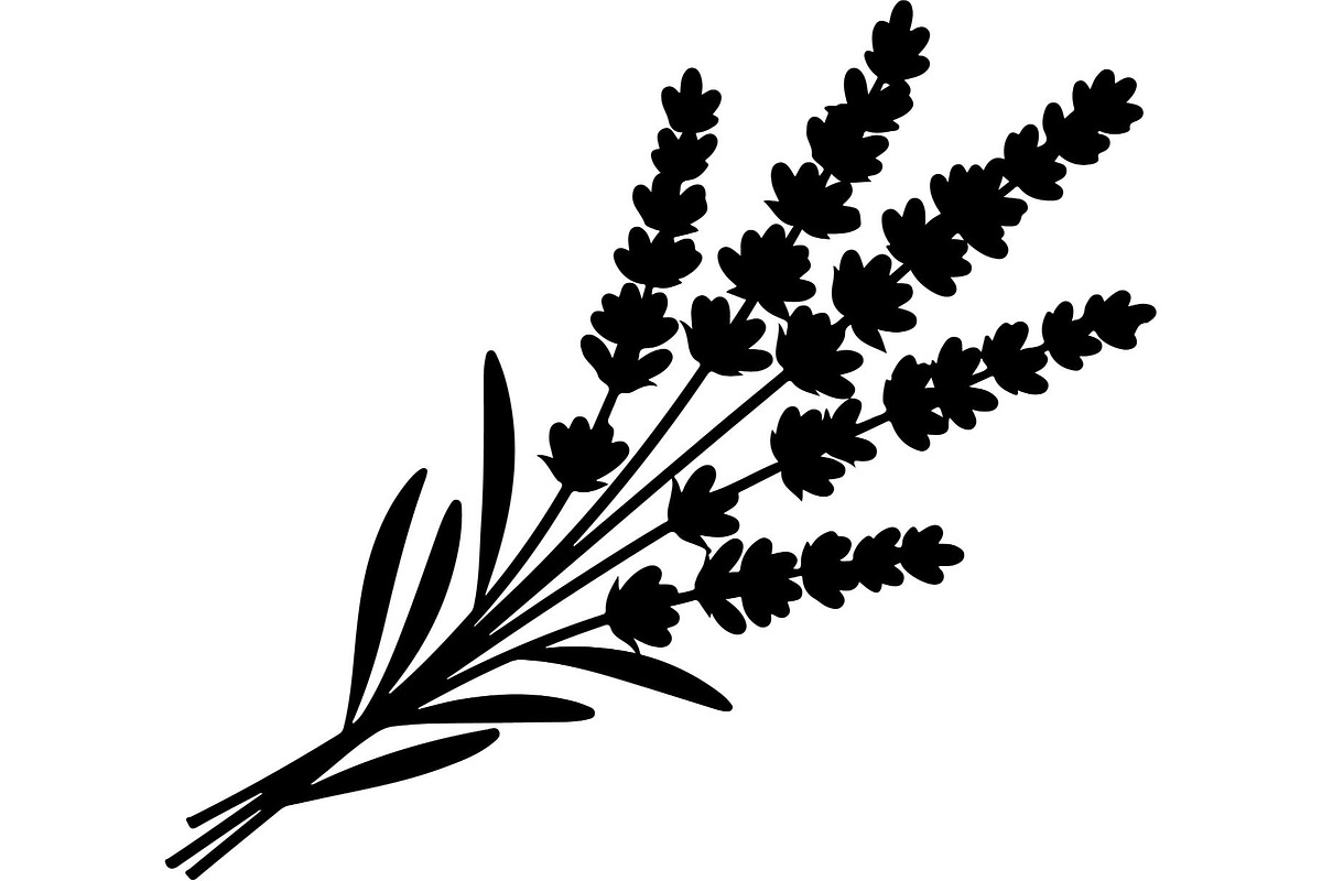 Lavender Flower Silhouette, an Object Graphic by Designer_Momina (Photo 18 of 20)