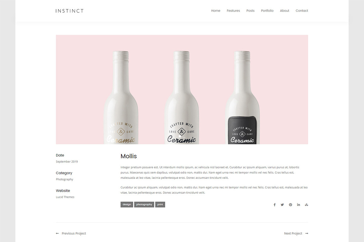 Instinct - Blog & Portfolio Theme, a WordPress Template by Lucid Themes (Photo 4 of 6)