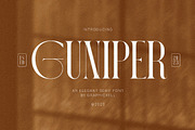Guniper Elegant Serif Font Typeface, a Serif Font by Graphicxell (Thumbnail 1 of 10)