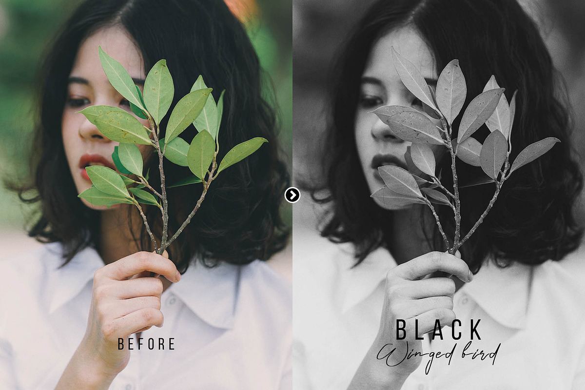 Black Winged Bird Photoshop Action, an Action Add-On by FilterAtelier (Photo 5 of 7)