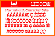 The Momentum font, a Handwritten Font by weknow (Thumbnail 8 of 8)