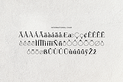 Chairman Butchier Elegant Serif Font, a Serif Font by UICreative (Thumbnail 13 of 13)
