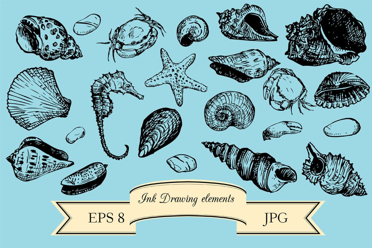 Seashells set preview 2
