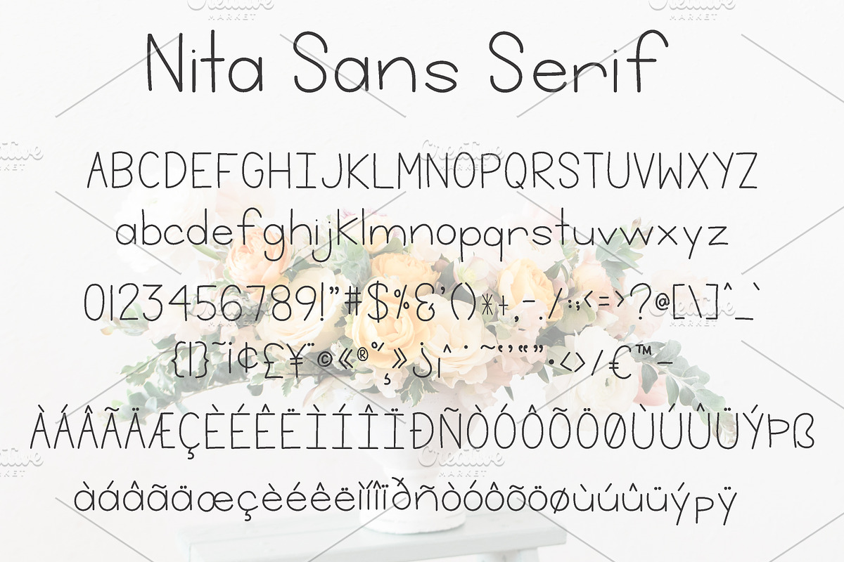 Nita - a Sans Serif Font preview 5