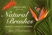 Procreate Brushes Megabundle, a Brush Add-On by Biso Studio (Thumbnail 7 of 14)