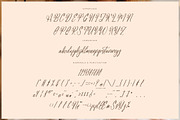 Rustic Astera Modern Handwritten, a Script Font by Letterena Studios Script (Thumbnail 13 of 15)