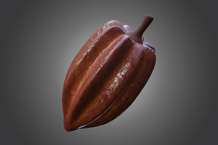3D Stylized Cocoa