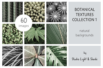 Botanical Textures - Collection 1, a Nature Photo by Studio Light & Shade