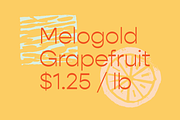 Sangria Citrus Woodcut Vector Shapes, an Object Graphic by hudlow (Thumbnail 3 of 6)
