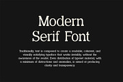 Methadone Modern Serif Font, a Serif Font by UICreative (Thumbnail 6 of 13)