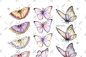 Butterflies Watercolor Cliparts