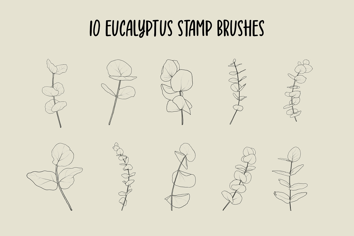 Fern And Eucalyptus Procreate Stamps, a Brush Add-On by Little Nordic Atelier (Photo 3 of 4)