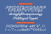 Leulasy a Monoline Script, a Font by Haps Space (Thumbnail 3 of 8)