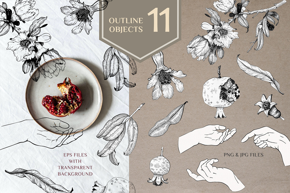 Oriental Botanical Watercolor Set, a Decorative Illustration by AnitaPol (Photo 3 of 15)