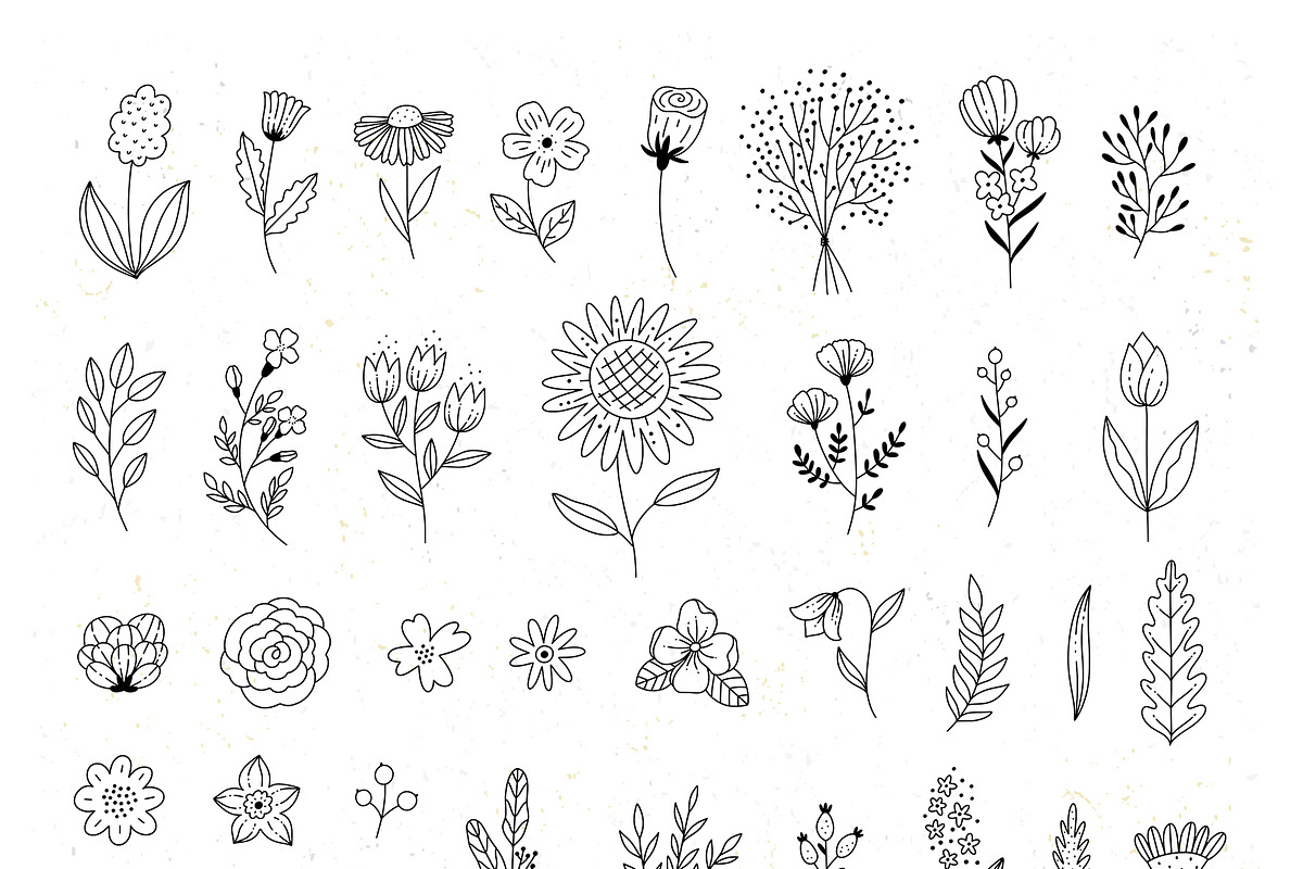 50+ Florals, a Decorative Illustration by Redchocolate (Photo 2 of 6)