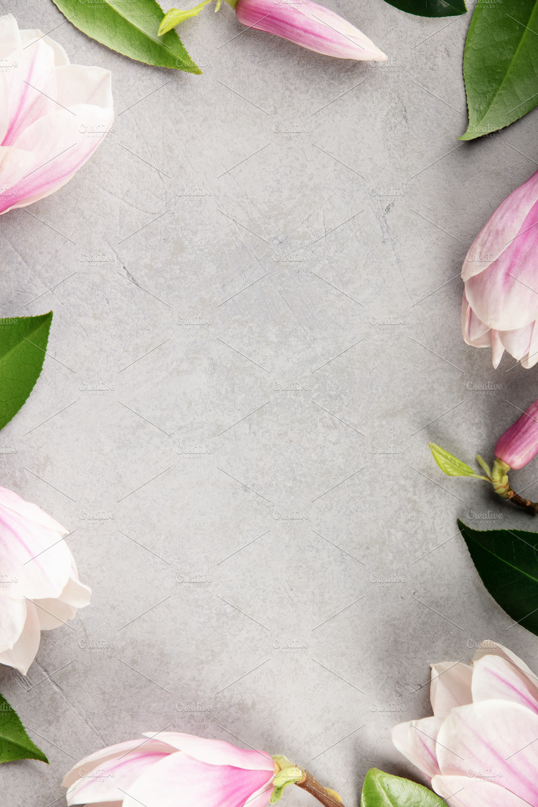 Floral Frame with Pink Magnolia Flowers on Gray Background, a Health & Medical Photo by Natalia Klenova's Shop
