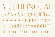 Renea - Modern Minimal Elegant Serif, a Serif Font by Qweera Studio (Thumbnail 12 of 12)