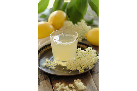 Homemade Elderflower Cordial drink, a Food & Drink Photo by Lermont51