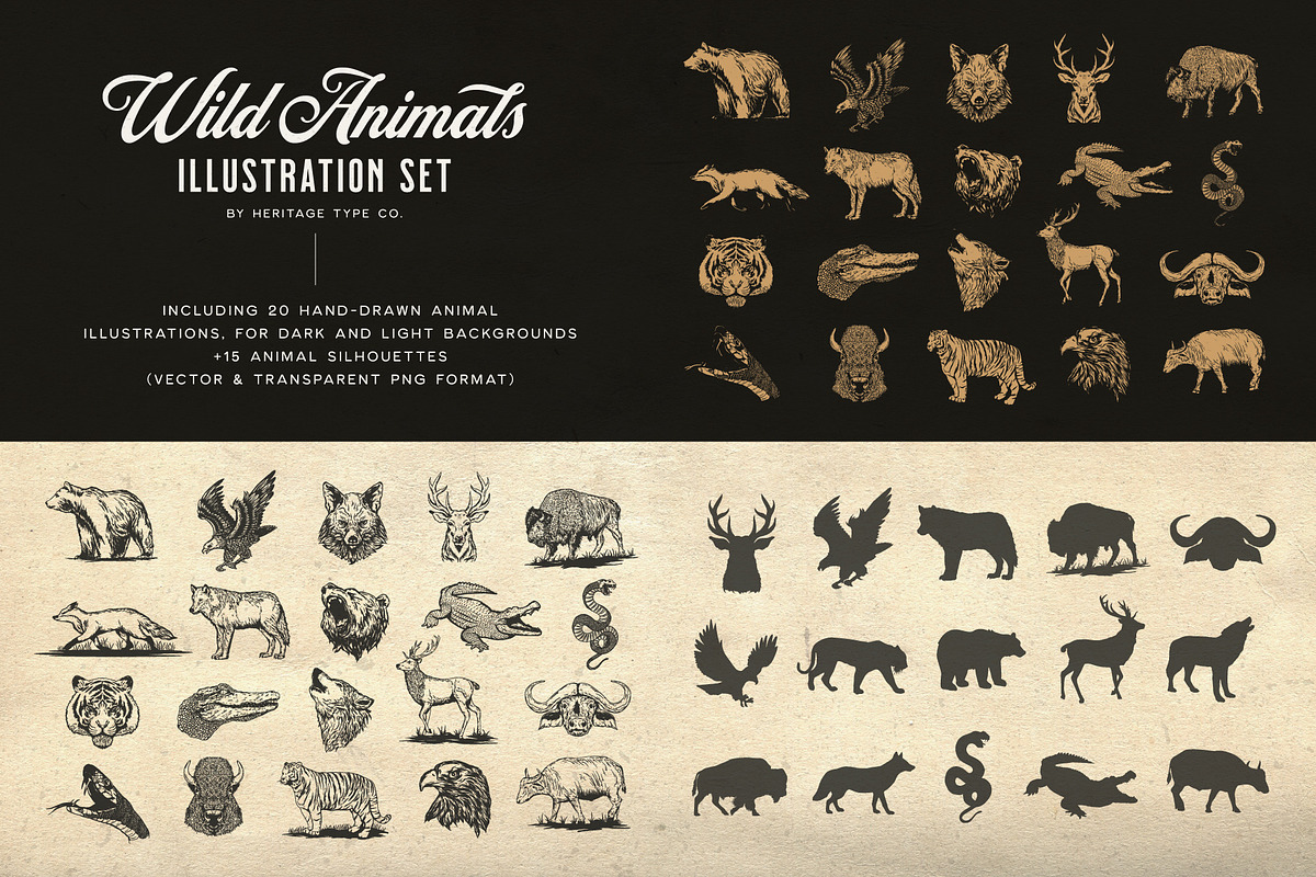 The Heritage Illustration Bundle, a Graphic by Heritage Type Co. (Photo 4 of 16)