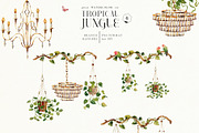 Tropical jungle - watercolor set, a Decorative Illustration by Pamyatka Shop (Thumbnail 11 of 27)