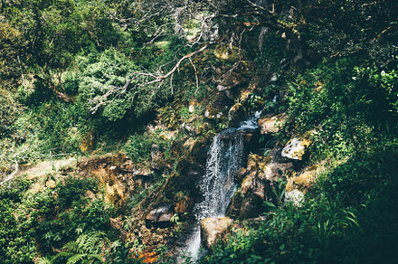 Forest waterfall in Sintra, Portugal, a Nature Photo by SkyNext
