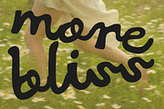 LaSiesta Handwritten Duo Sans Script, a Script Font by Struvictory.art (Thumbnail 9 of 9)