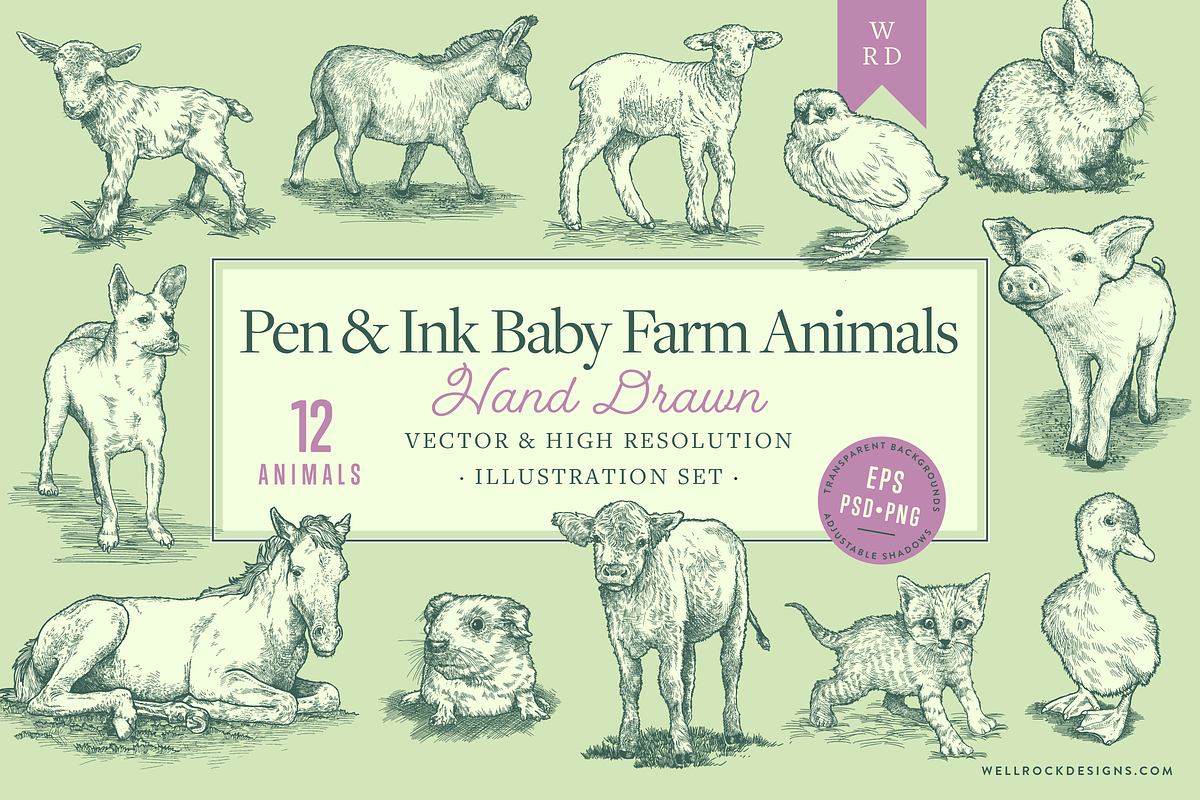 Vector Baby Farm Animals Set, an Animal Illustration by Well Rock Designs (Photo 1 of 9)