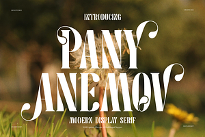 Pany Anemov | Modern Display Serif, a Font by Denustudios