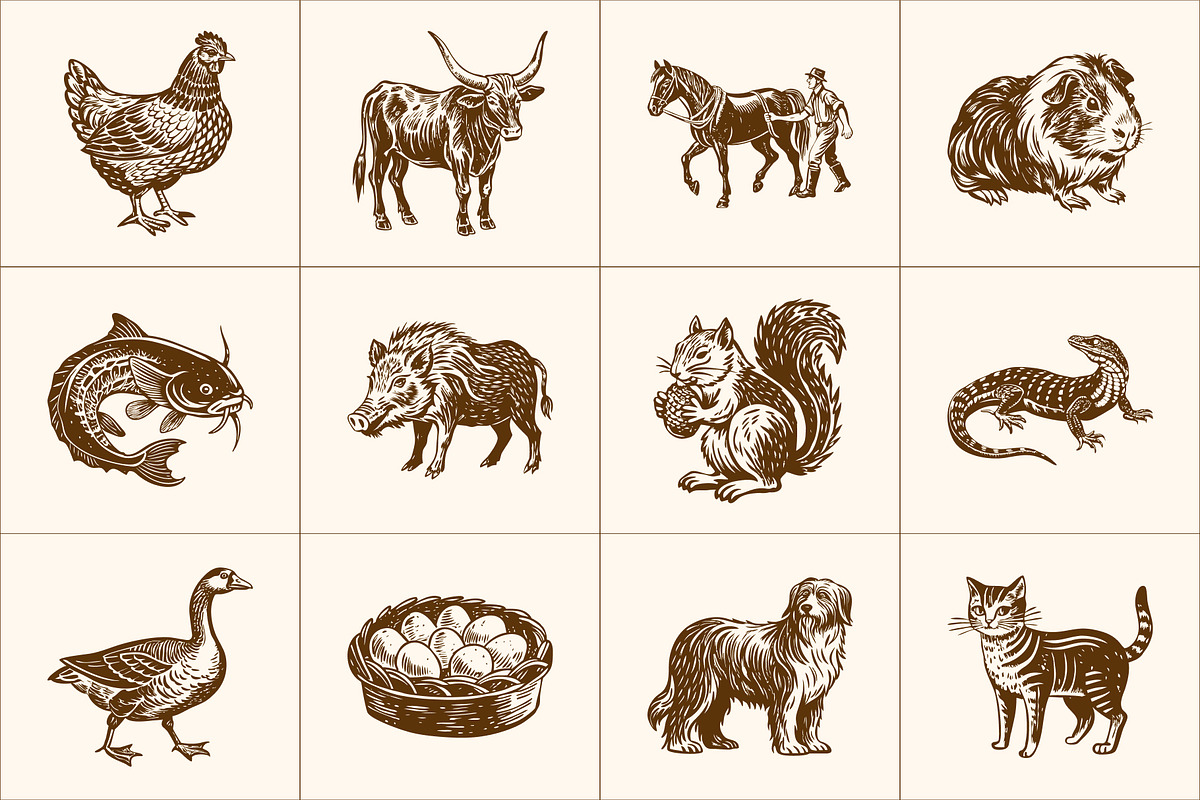 Vintage Farm Animals Illustration, an Animal Illustration by Prosymbols (Photo 6 of 8)
