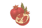 Pomegranate, a Food Illustration by Irina Trusova (Thumbnail 3 of 3)